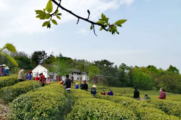 现场农技培训.jpg 现场农技培训.jpg